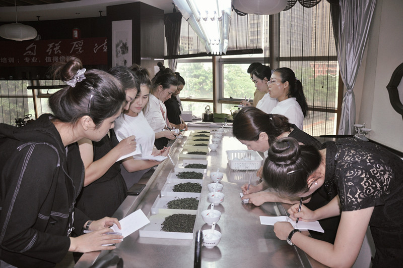 哪里可以学茶艺培训?不要只学茶艺表演的