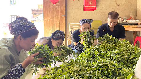 茶艺师培训学什么才能成为合格的茶艺师?